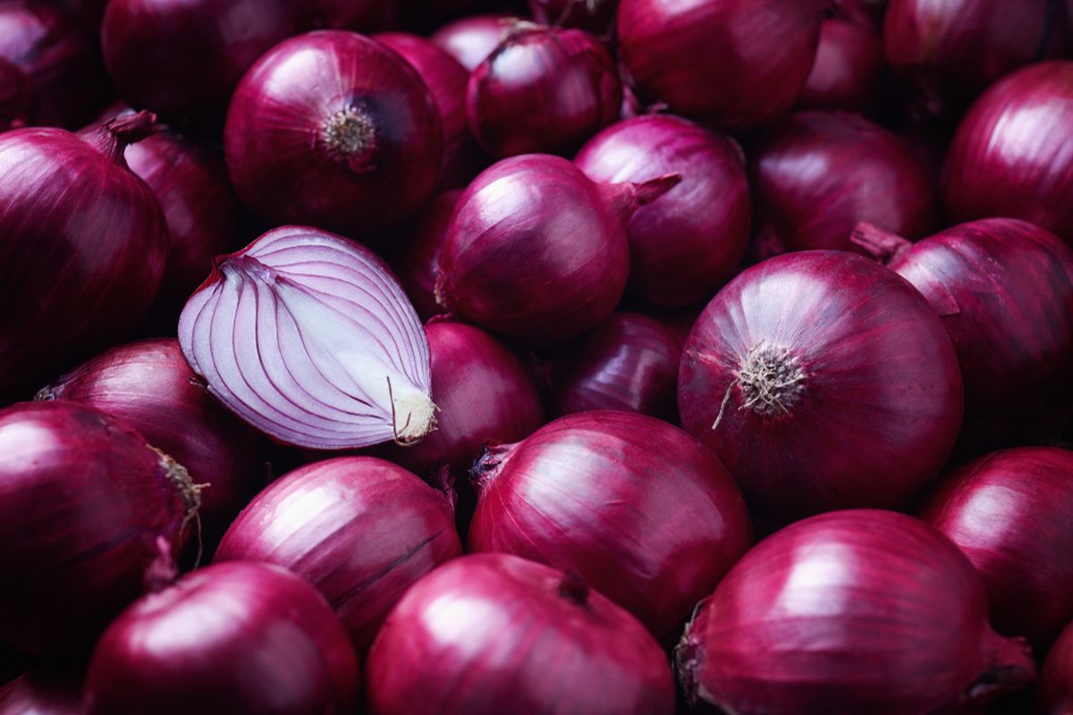 bawang merah