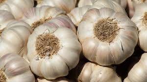 bawang putih