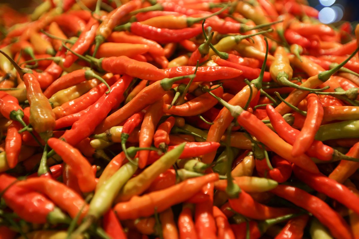 cabe rawit merah