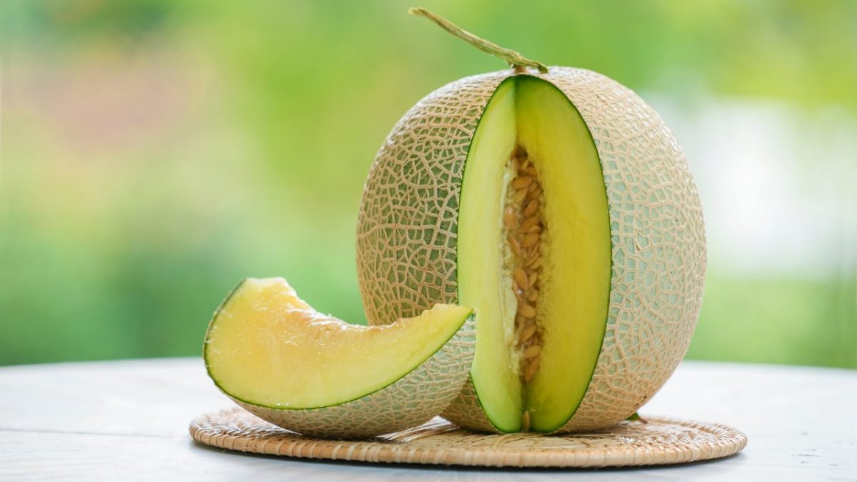melon