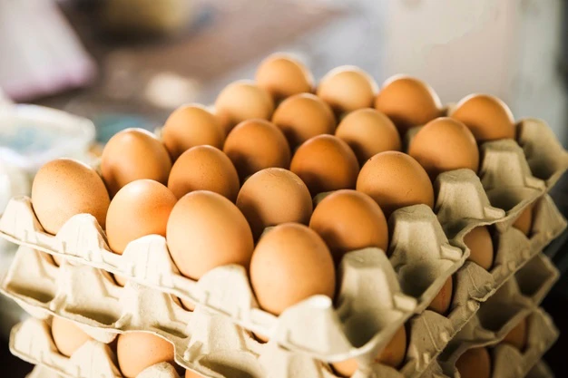 telur ayam